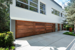Window with Window and Plant